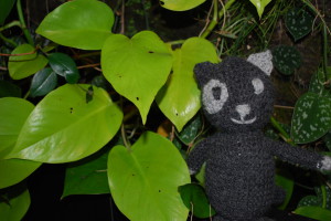 chat crochet drops design